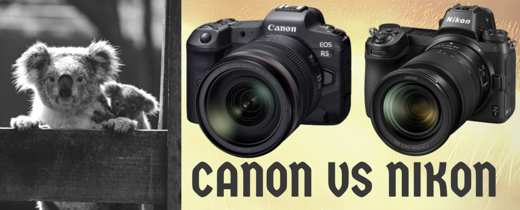 Nikon Versus Canon