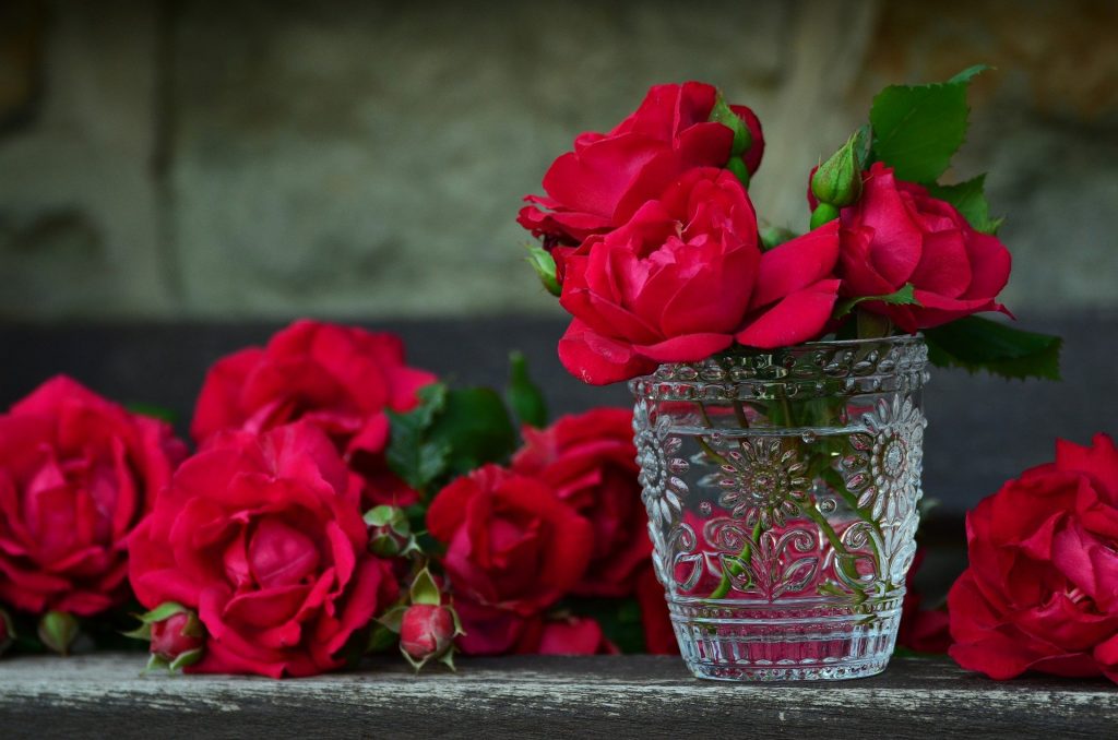 roses Top 5 Best Proposal Flowers that Speak the Language of Love
