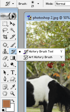 History Brush tool