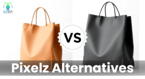 Pixelz alternative