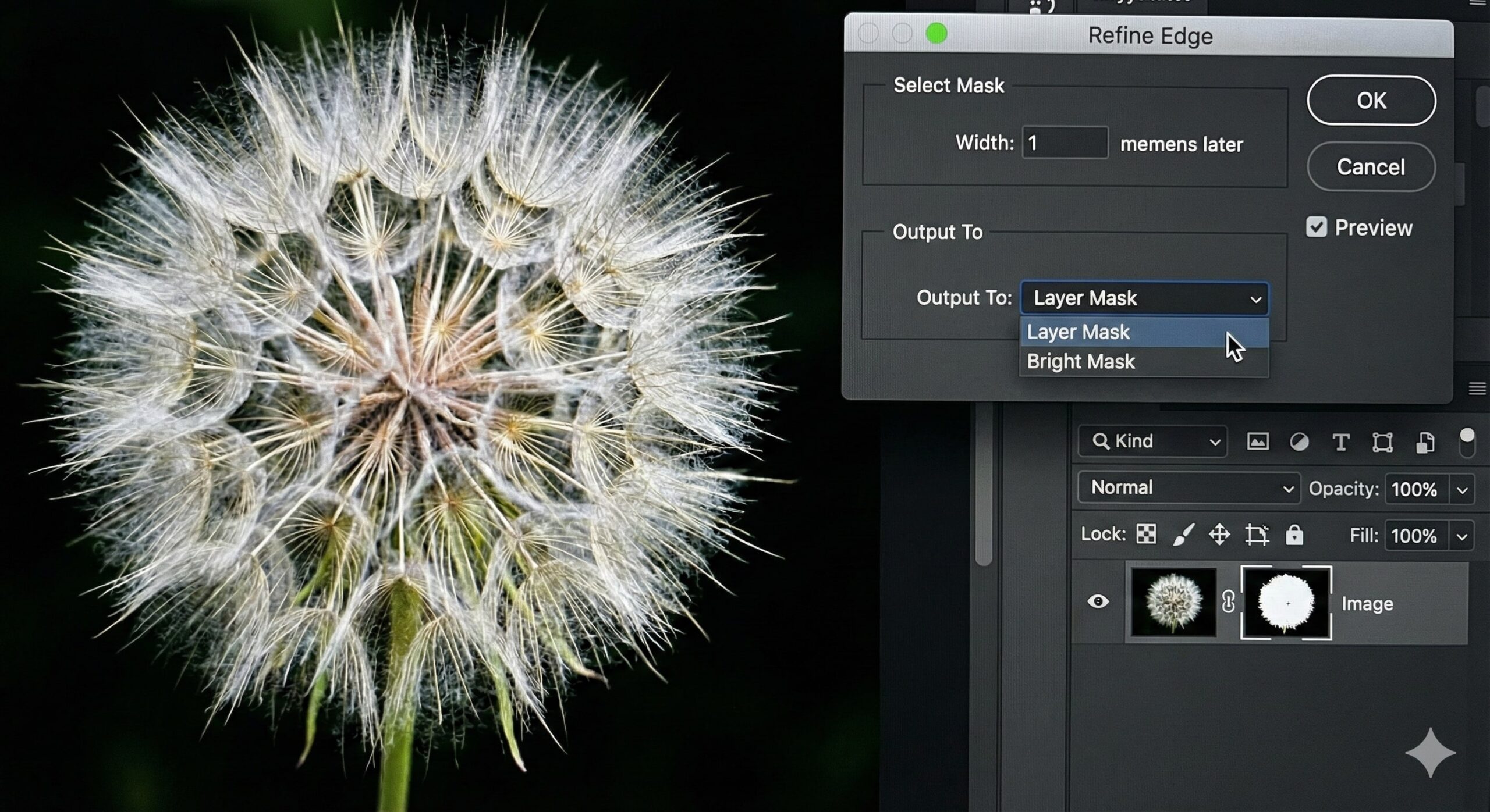 Outputting selection as a layer mask for precise outlining in Photoshop