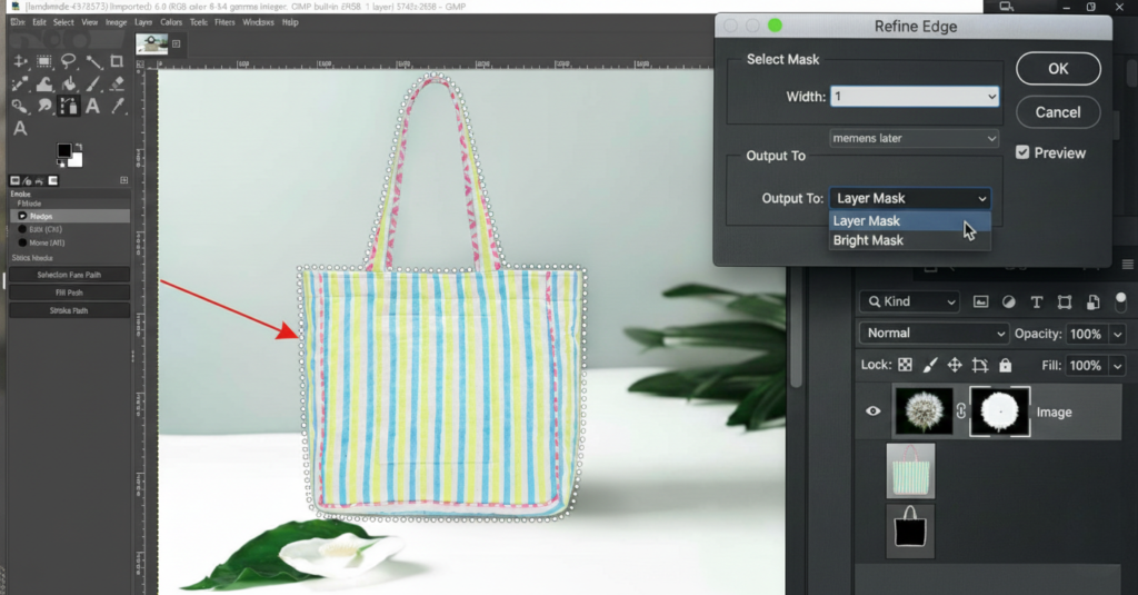 Applying layer mask for non destructive background removal in Photoshop